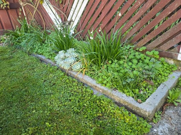 Before